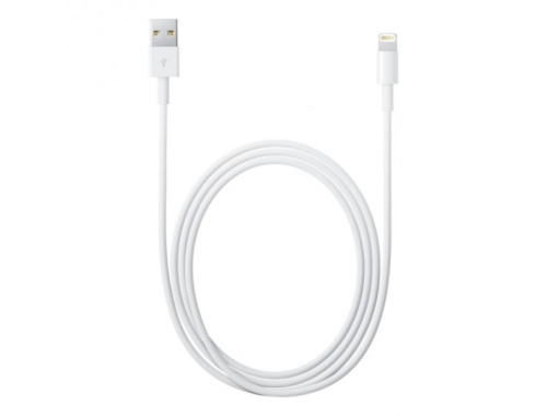 Apple Lightning to USB cable (1m)
