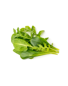 Click & Grow - Salad Greens Mix /9-Pack