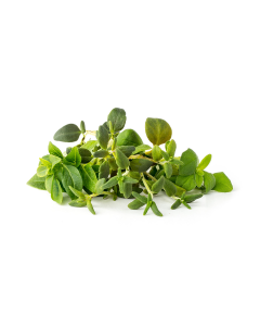 Click & Grow  - Italian Herb Mix /9-pack