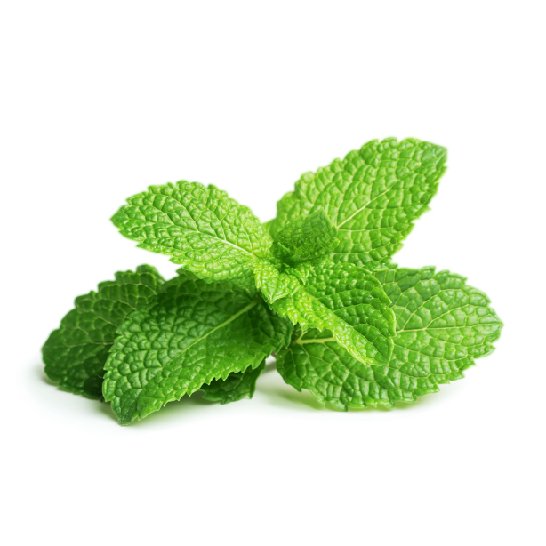 Click & Grow Plant Pods | Peppermint | 3-Pack main product photo