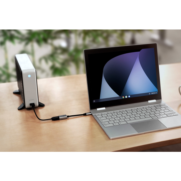 Hyper - HyperDrive USB-C to 10 Gbps USB-A Adapter