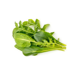 Click & Grow Plant Pods | Salad Greens Mix | 9-Pack