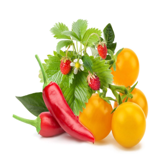 Click & Grow Plant Pods | Fruit and Veggie Mix - 9-Pack