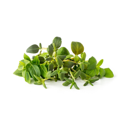 Click & Grow Plant Pods | Italian Herb Mix - 9-Pack