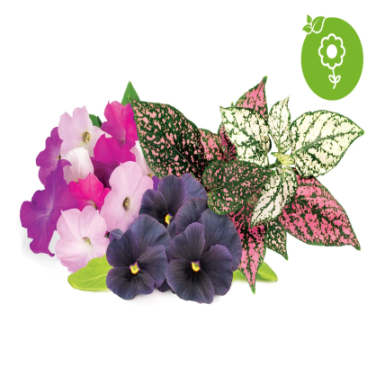 Click & Grow Plant Pods | Vibrant Flower Mix | 9-Pack