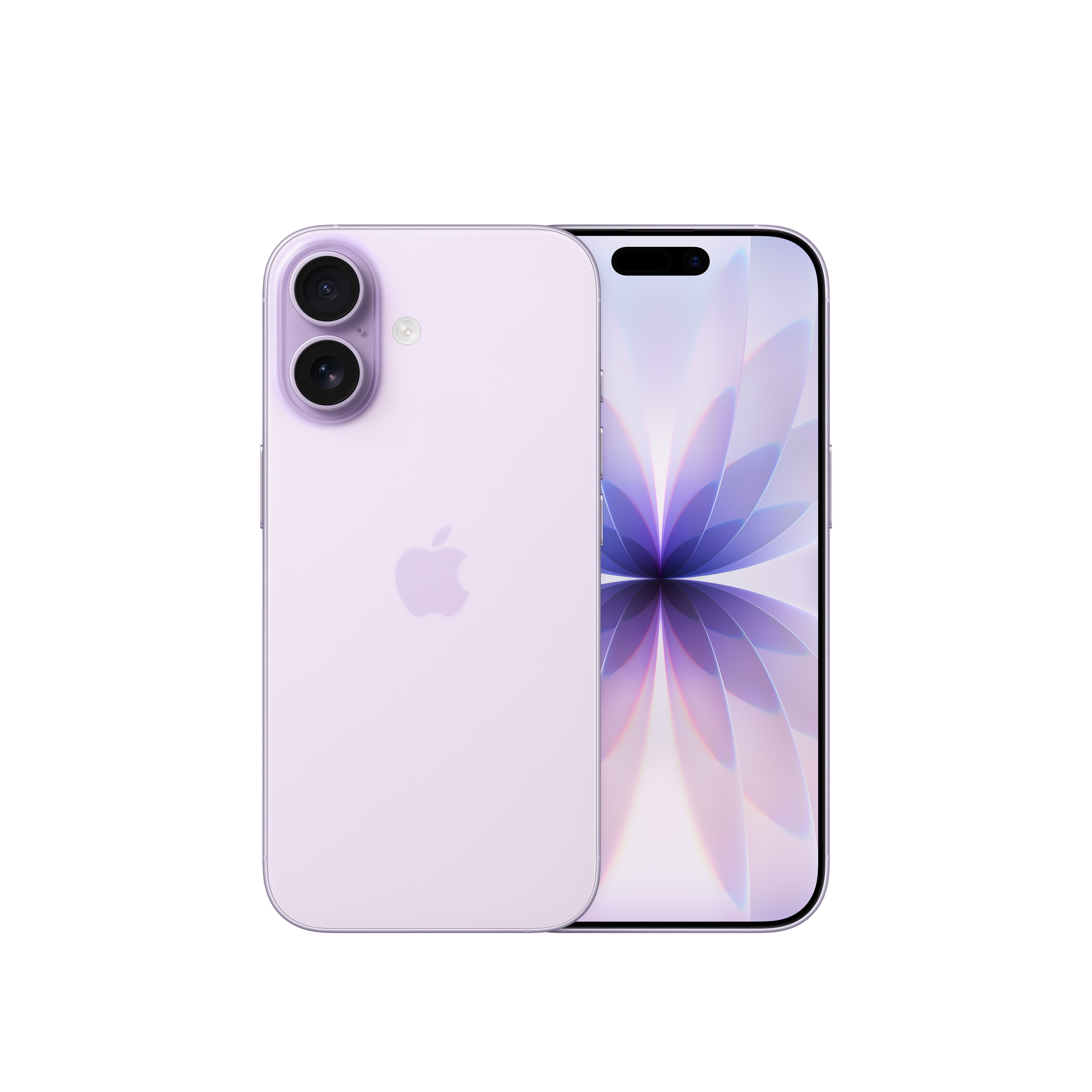 Apple iPhone 17 models fanned to showcase multiple colourways
