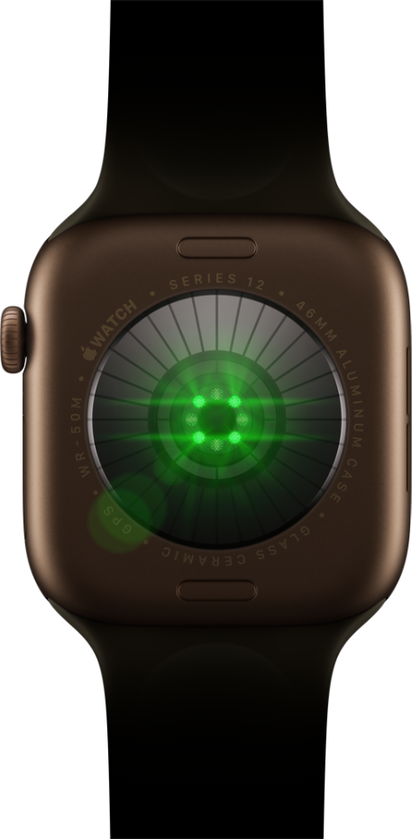 Apple Watch 12 hero desktop / tablet