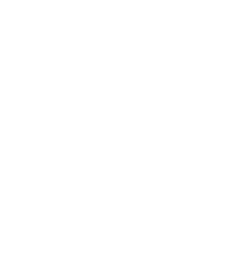 Apple icon of shopping bag