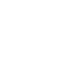 Apple icon of gift box